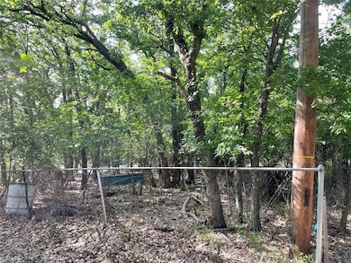 1410 E Lake Dr, Weatherford, TX 76087 - photo 6