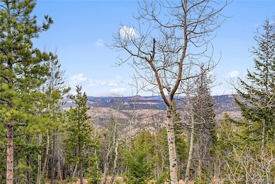 206 Wonder Trail, Golden, CO 80403 - photo 3