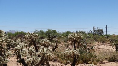 Variety of desert landscape