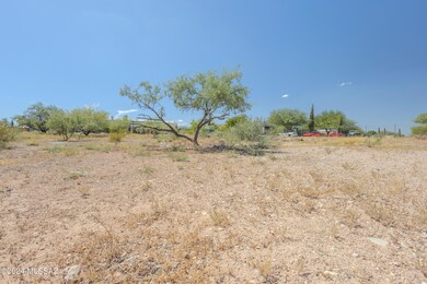 Photo-7