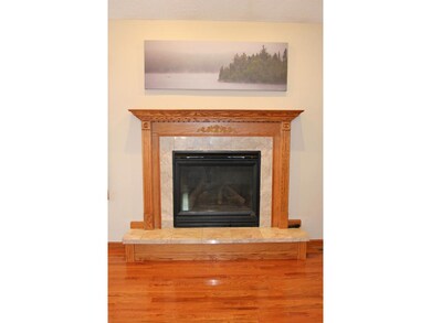 Gas fireplace