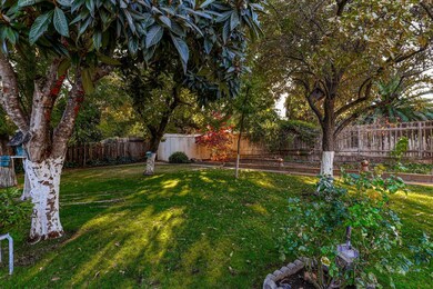 37-web-or-mls-IMG_0249
