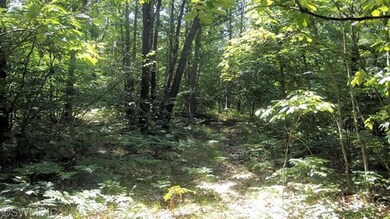 0 W Woodland Park Dr unit PAR D 13049198, Merrill Township, MI 49309 - photo 3