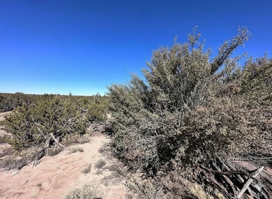 205 N7415, Saint Johns, AZ 85936 - photo 6