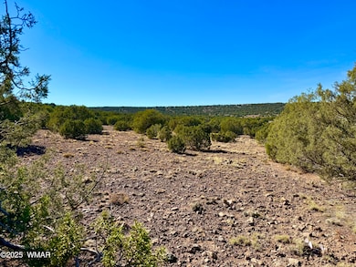 0 Kirkland Dr 20 Acres unit 258779, Concho, AZ 85924 - photo 6