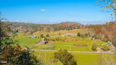 View from Back Deck