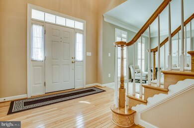 43066 Castlebar St, Chantilly, VA 20152 - photo 4