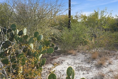 00 Ranger Dr, Sandia, TX 78383 - photo 2