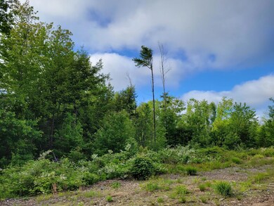 Lot 4 Ridge Rd