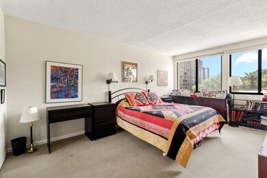 250 Hammond Pond Pkwy unit 411N, Chestnut Hill, MA 02467 - photo 6