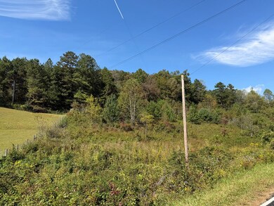 9.10 Oakgrove Rd, Murphy, NC 28906 - photo 5