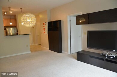 Silverton Condominiums, Silver Spring, MD 20910 - photo 5