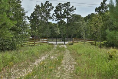 0 Daw Collins Rd, Cleveland, TX 77328 - photo 3