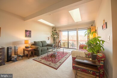 103 Skyhill Rd unit 9, Alexandria, VA 22314 - photo 4