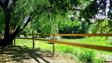 Beautiful fields surround the home. Over 7 acres, 