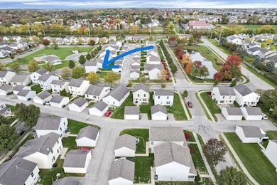 large-019a3618-dc66-73c0-bcf7-0b22575242