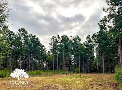 0 Jb Denton Rd, Heath Springs, SC 29058 - photo 5