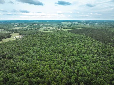 DJI_20240507164214_0209_D