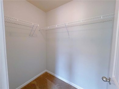 Spacious closet with carpet flooring
