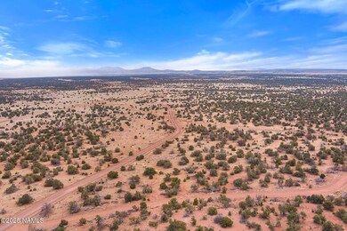 9996 Bird Dog Cir unit Lot E, Williams, AZ 86046 - photo 2