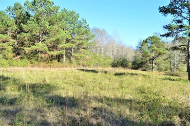 ... Pike 93 Central, McComb, MS 39648 - photo 6