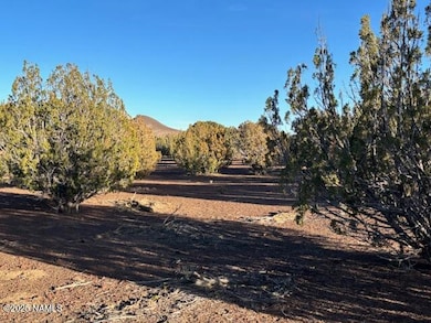 Land Photo 2