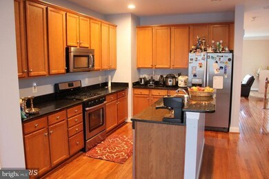 42757 Puller Terrace, Broadlands, VA 20148 - photo 4