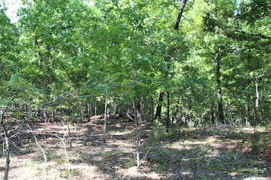 Lot 10-5