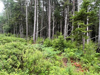 Lot 3 Bluff Rd Bar Harbor 2