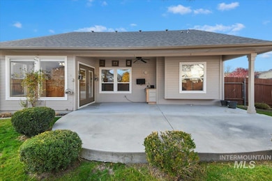 Back of property featuring a patio area, a ceiling fan, and a shingled roof