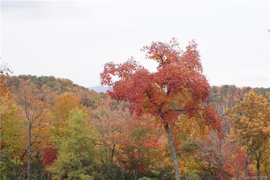 0 Pottery Terrace Trail unit NCM521511, Flat Rock, NC 28731 - photo 5