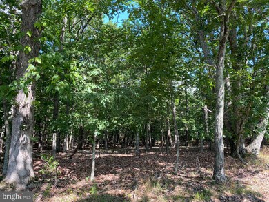 0 Timber Ridge Rd unit WVMO117112, Berkeley Springs, WV 25411 - photo 5