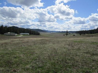 Looking South