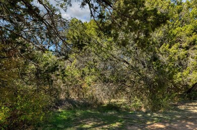 13 Lake Country Dr, Granbury, TX 76049 - photo 7