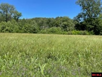 LOT 27 McPhearson Terrace, Norfork, AR 72653 - photo 3