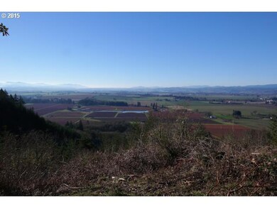 6600 SE Sartore Rd, Amity, OR 97101 - photo 2