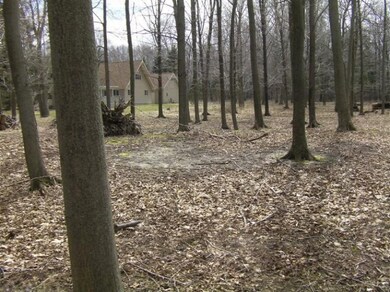 0 Mcmillan St unit 13020436, Onekama, MI 49765 - photo 5