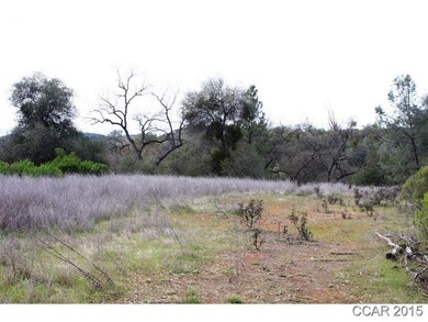 5970 Michel Rd, Mountain Ranch, CA 95246 - photo 5