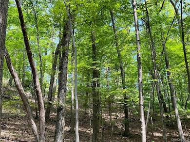 0 Mount Ross Rd, Pine Plains, NY 12567 - photo 3