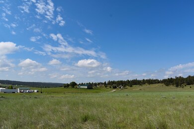 DSC_0423