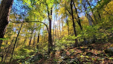 Meadow Creek Falls Retreat