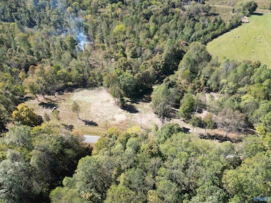 Tract1 Gunter Hollow Rd, Pulaski, TN 38478 - photo 7