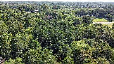 5339 Thomson Hwy, Lincolnton, GA 30817 - photo 3