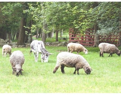 315 North St, Medfield, MA 02052 - photo 5