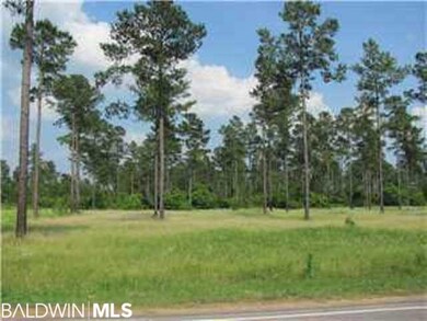 0 Wilmer Tanner Williams Rd unit 224654, Wilmer, AL 36587 - photo 4