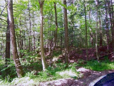 2 Kimball St, Littleton, NH 03561 - photo 2