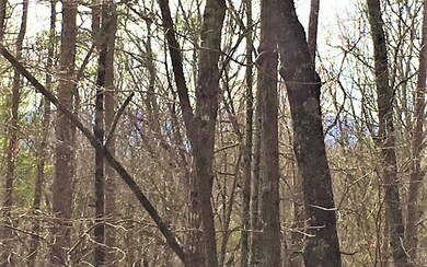 LT 15 Pinson Ln, Ellijay, GA 30540 - photo 3