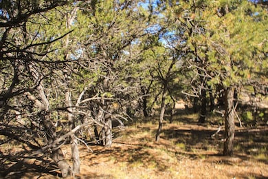 Marenman Rd, Fort Garland, CO 81133 - photo 2