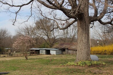 BACKY YARD VIEW AND BARN
