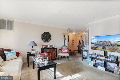 2505 Shelley Cir unit 2B, Frederick, MD 21702 - photo 7